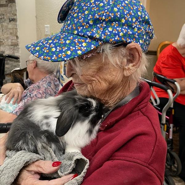 A senior enjoying a cuddle with a bunny rabbit.