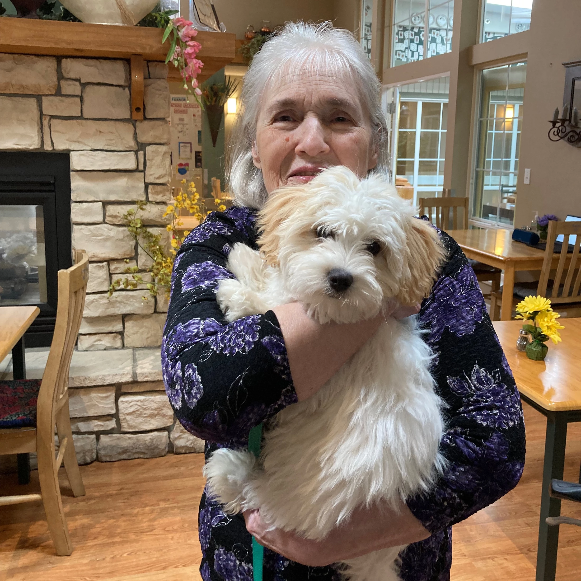 A senior lady playing with a dog