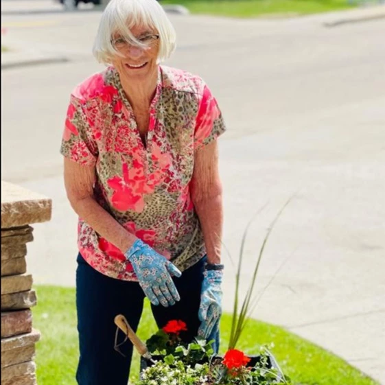 A senior lady gardening