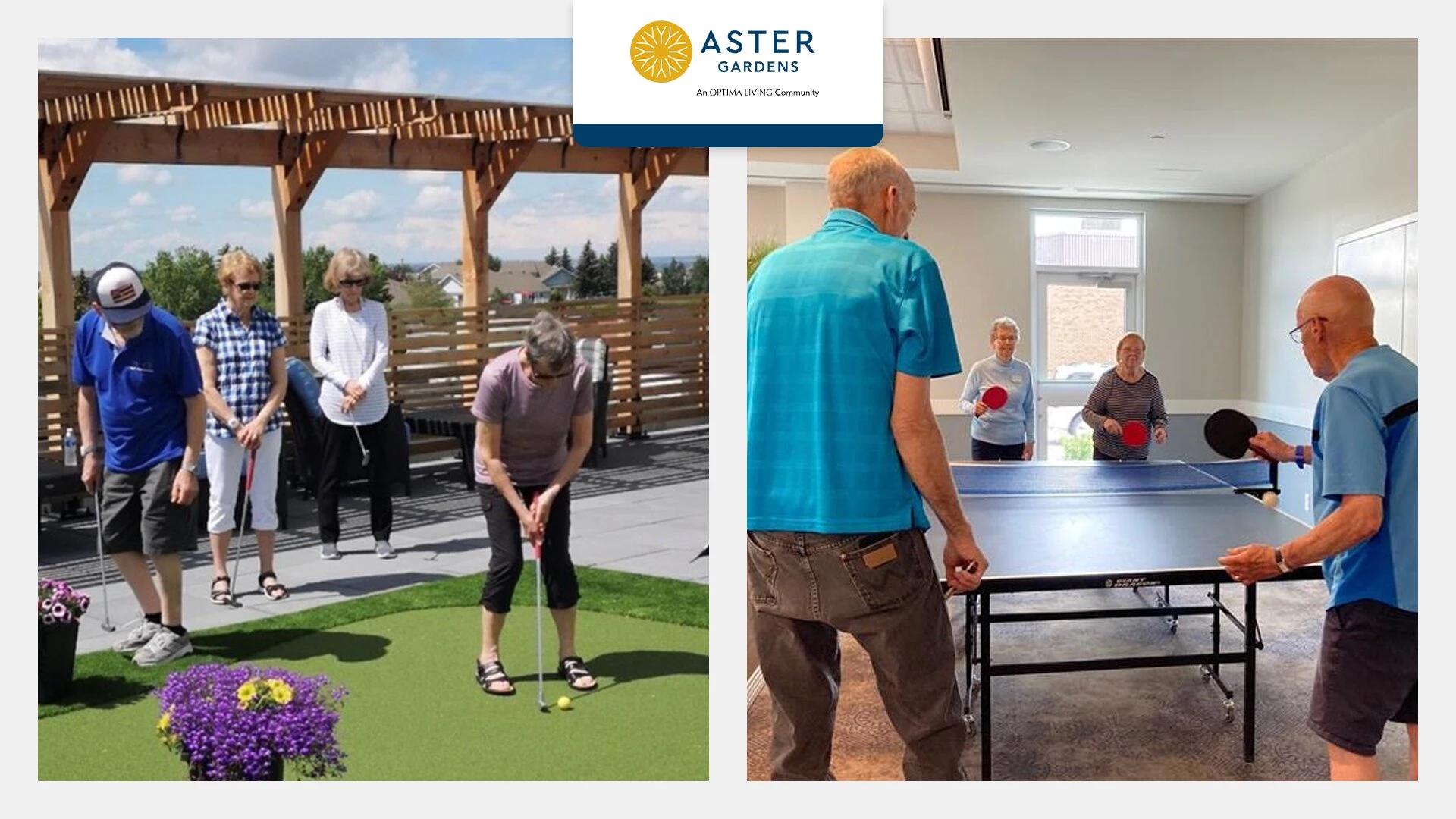 Aster garden seniors playing golf and table tennis