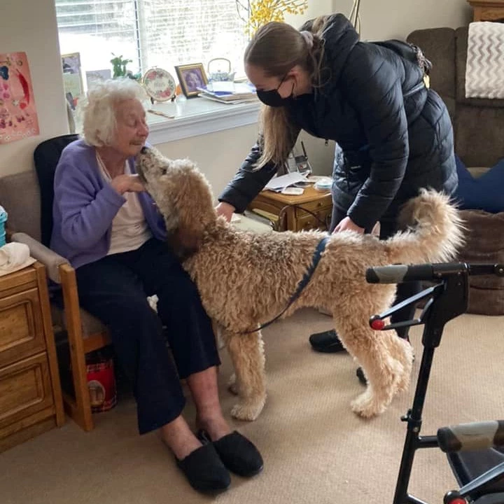 A senior lady playing with a dog