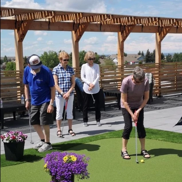 A group of senior playing golf