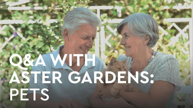 Q&A with Aster Gardens: Pets