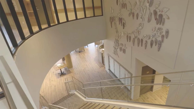 Wisteria Place’s Recycled Art Featured in News