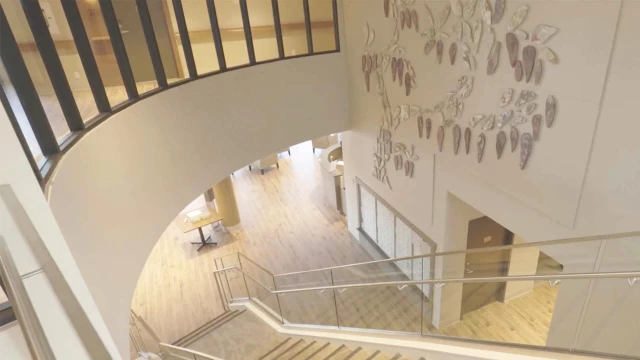 Recycled Plastic Bags Create Stunning Art at Wisteria Place