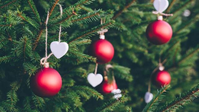 Optima Living Newsletter December 2023