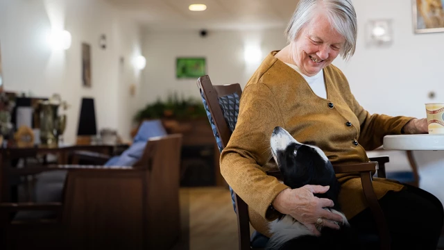 Optima Living Newsletter July 2023